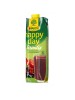 Džús RAUCH Happy Day multivitamín red fruit 100% 1l