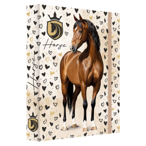 Školský box na zošity A4 JUMBO HORSE