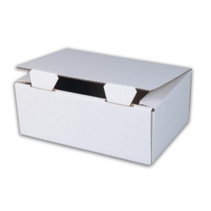 Poštová škatuľa, biela, 175 x 130 x 100 mm