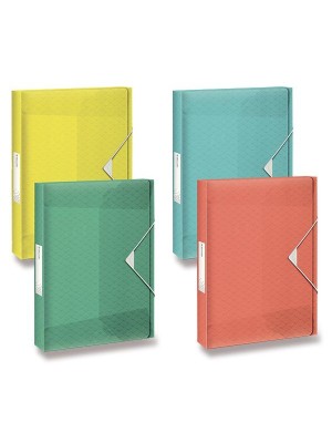 Plastový box na dokumenty s gumičkou Esselte Colour'Ice