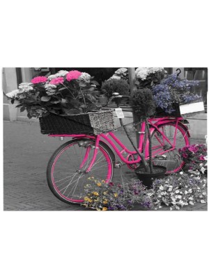 Obálky na patent PANTA PLAST "Bike", A4