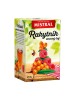 Čaj MISTRAL ovocný Rakytník 40g