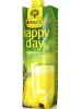 Džús Happy Day ananás  1l