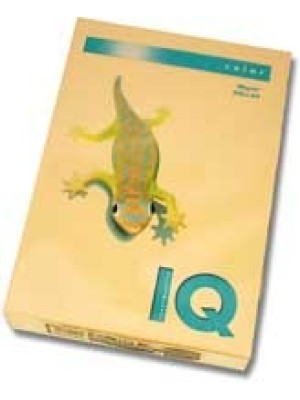 IQ color, lososová SA24, A4, 160 g